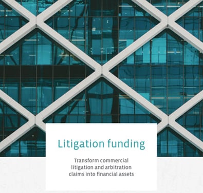 ebook-litigation-funding